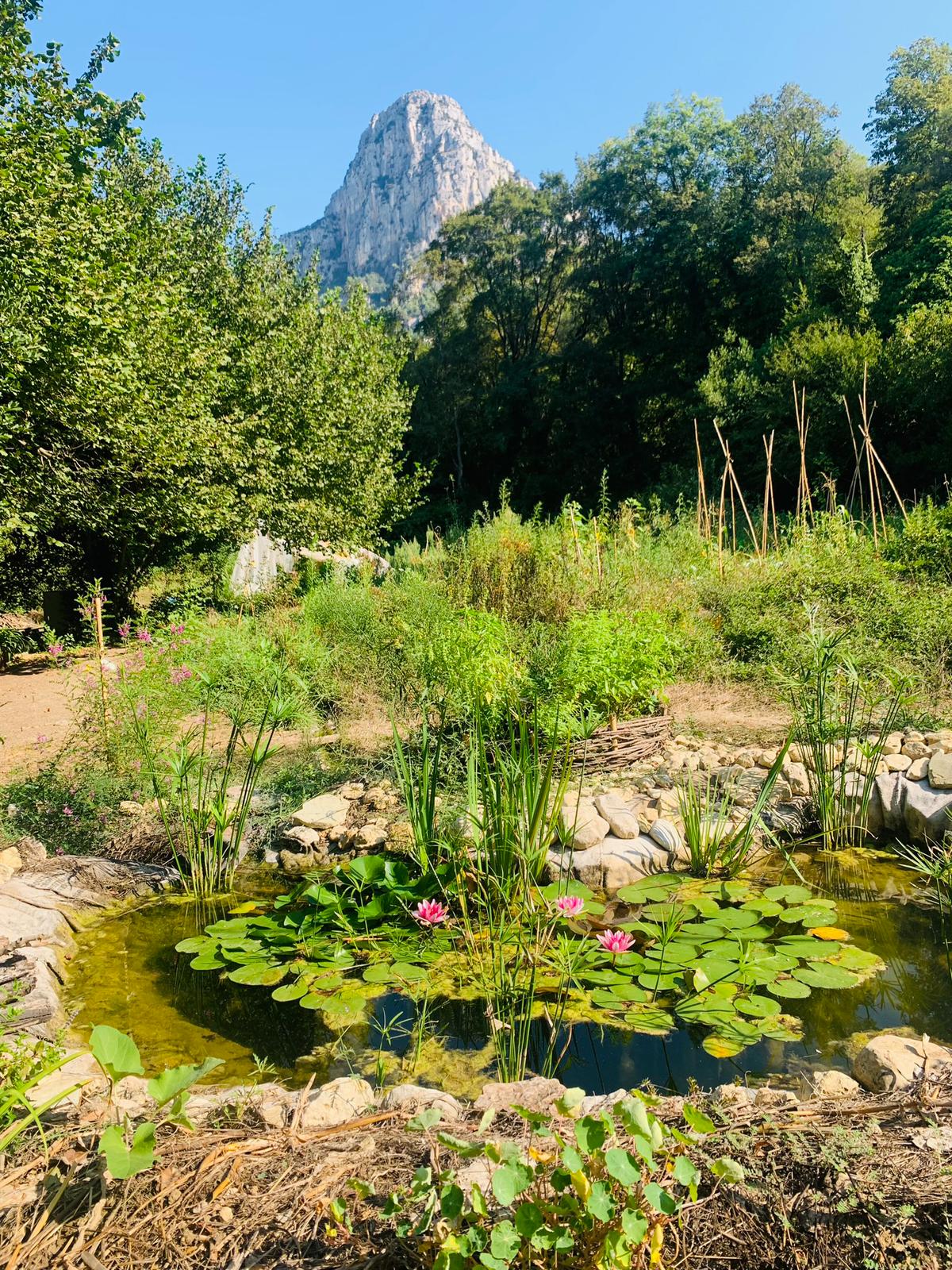 Le Baou de Saint-Jeannet